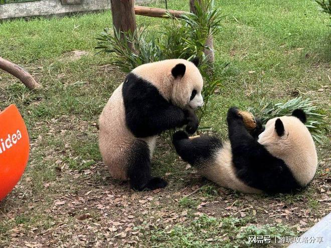 去合适 重庆3日游体验分享!pg电子去重庆旅游什么季节(图2) 去合适 重庆3日游体验分享!pg电子去重庆旅游什么季节(图2)